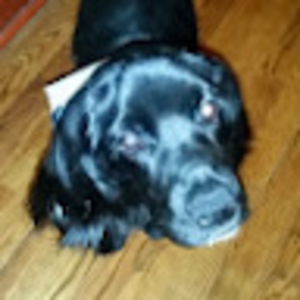 Meet your Posher, J.f.